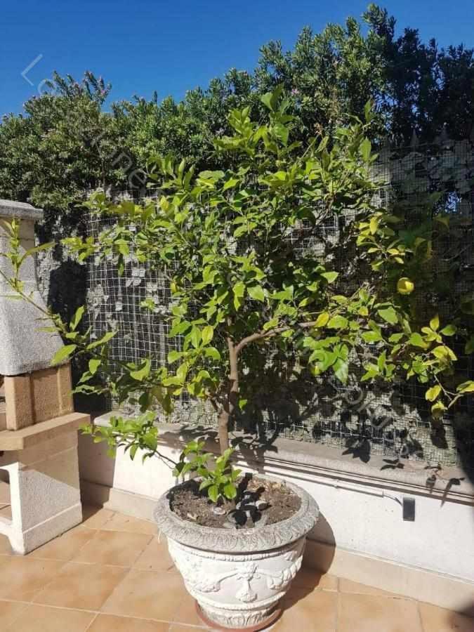 Locazione Turistica Fusillo Lorusso Con Parcheggio Privato In Loco Apartment Barletta Bagian luar foto